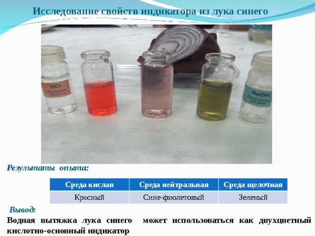 Исследование свойств индикатора из лука синего    Результаты опыта:     Вывод: Водная вытяжка лука синего может использоваться как двухцветный кислотно-основный индикатор Среда кислая Красный Среда нейтральная Среда щелочная Сине-фиолетовый Зеленый 