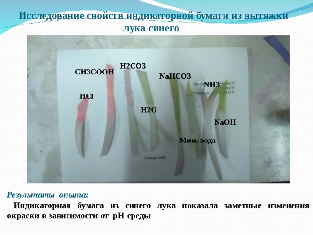 Исследование свойств индикаторной бумаги из вытяжки лука синего    H2CO3 CH3COOH NaHCO3 NH3 HCl H2O NaOH Мин. вода Результаты опыта:  Индикаторная бумага из синего лука показала заметные изменения окраски в зависимости от pH среды 