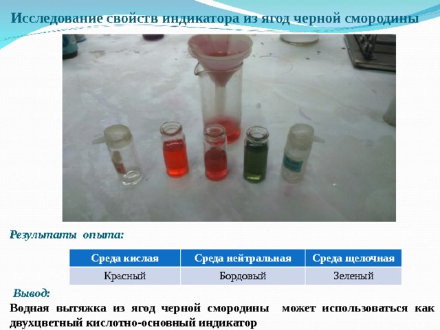 Исследование свойств индикатора из ягод черной смородины    Результаты опыта:     Вывод: Водная вытяжка из ягод черной смородины может использоваться как двухцветный кислотно-основный индикатор Среда кислая Красный Среда нейтральная Среда щелочная Бордовый Зеленый 