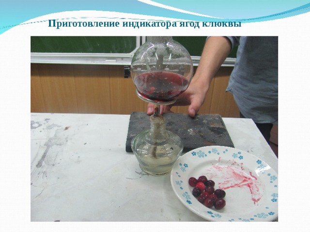 Приготовление индикатора ягод клюквы      