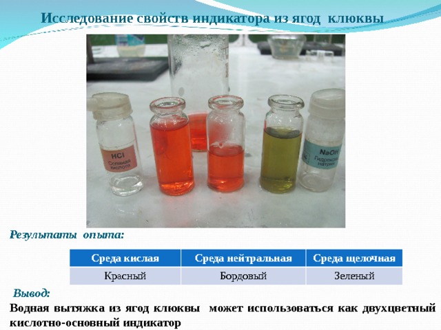 Исследование свойств индикатора из ягод клюквы    Результаты опыта:     Вывод: Водная вытяжка из ягод клюквы может использоваться как двухцветный кислотно-основный индикатор Среда кислая Красный Среда нейтральная Среда щелочная Бордовый Зеленый 