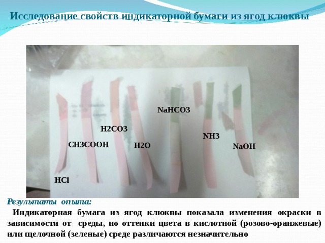Исследование свойств индикаторной бумаги из ягод клюквы    H2O NH3 NaHCO3 NaHCO3 Мин. вода H2CO3 CH3COOH NH3 CH3COOH H2O NaOH NaOH H2CO3 HCl HCl Результаты опыта:  Индикаторная бумага из ягод клюквы показала изменения окраски в зависимости от среды, но оттенки цвета в кислотной (розово-оранжевые) или щелочной (зеленые) среде различаются незначительно 
