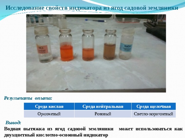 Исследование свойств индикатора из ягод садовой земляники    Результаты опыта:     Вывод: Водная вытяжка из ягод садовой земляники может использоваться как двухцветный кислотно-основный индикатор Среда кислая Оранжевый Среда нейтральная Среда щелочная Розовый Светло-коричневый 