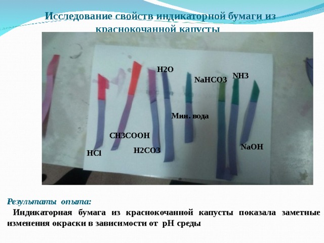 Исследование свойств индикаторной бумаги из краснокочанной капусты    H2O NH3 NaHCO3 Мин. вода CH3COOH NaOH H2CO3 HCl Результаты опыта:  Индикаторная бумага из краснокочанной капусты показала заметные изменения окраски в зависимости от pH среды 