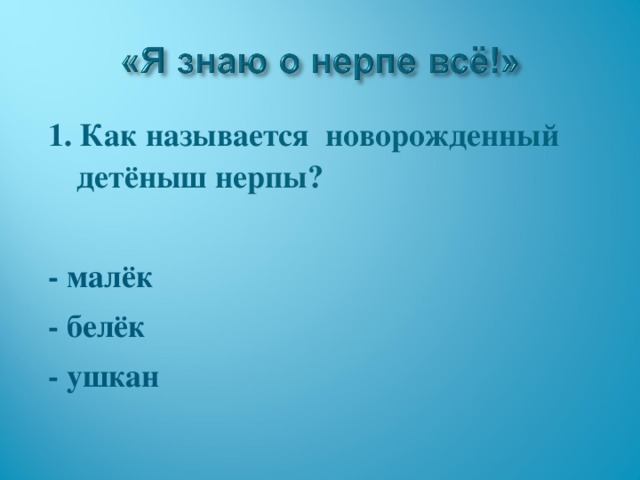 1. Как называется новорожденный детёныш нерпы?  - малёк - белёк - ушкан 