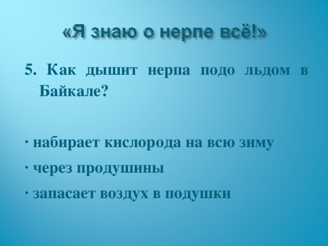 5. Как дышит нерпа подо льдом в Байкале?  · набирает кислорода на всю зиму · через продушины · запасает воздух в подушки  