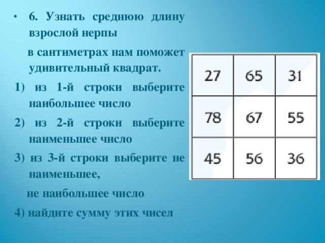 6. Узнать среднюю длину взрослой нерпы  в сантиметрах нам поможет удивительный квадрат. 1) из 1-й строки выберите наибольшее число 2) из 2-й строки выберите наименьшее число 3) из 3-й строки выберите не наименьшее,  не наибольшее число 4) найдите сумму этих чисел  