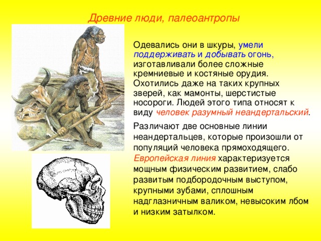 Древние люди проект 5 класс