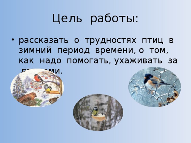 Цель работы: рассказать о трудностях птиц в зимний период времени, о том, как надо помогать, ухаживать за птицами. 