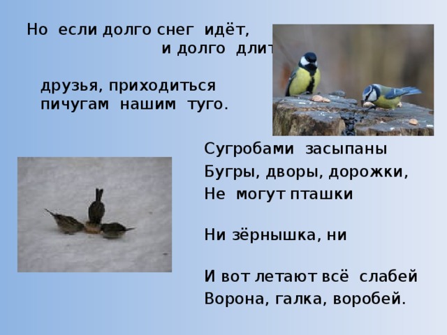 Но если долго снег идёт,  и долго длиться вьюга, тогда, друзья, приходиться пичугам нашим туго.  Сугробами засыпаны  Бугры, дворы, дорожки,  Не могут пташки отыскать  Ни зёрнышка, ни крошки.  И вот летают всё слабей  Ворона, галка, воробей. 