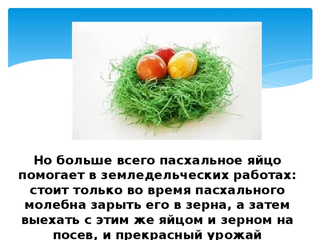 Но больше всего пасхальное яйцо помогает в земледельческих работах: стоит только во время пасхального молебна зарыть его в зерна, а затем выехать с этим же яйцом и зерном на посев, и прекрасный урожай обеспечен . 