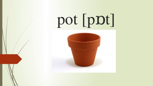 pot [pɒt]   