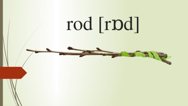 rod [rɒd]   