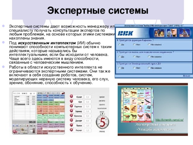 Экспертные системы Экспертные системы дают возможность менеджеру или специалисту получать консультации экспертов по любым проблемам, на основе которых этими системами накоплены знания. Под искусственным интеллектом (ИИ) обычно понимают способности компьютерных систем к таким действиям, которые назывались бы интеллектуальными, если бы исходили от человека. Чаще всего здесь имеются в виду способности, связанные с человеческим мышлением. Работы в области искусственного интеллекта не ограничиваются экспертными системами. Они также включают в себя создание роботов, систем, моделирующих нервную систему человека, его слух, зрение, обоняние, способность к обучению.  
