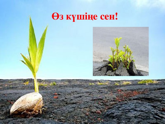 Өз күшіңе сен! 