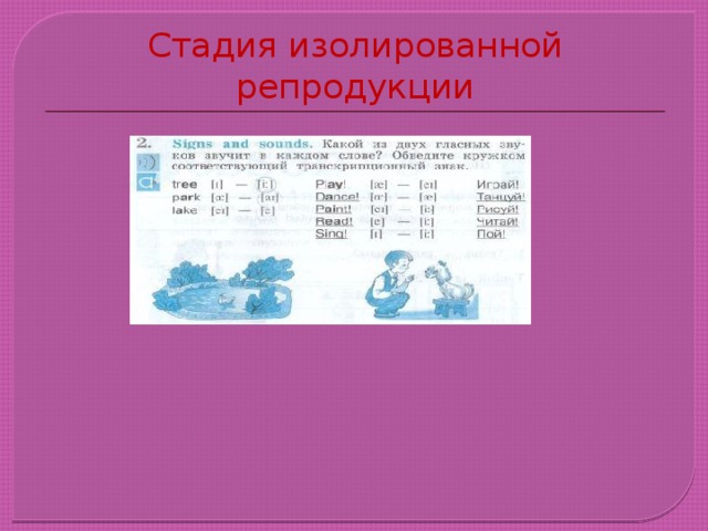 Стадия изолированной репродукции 