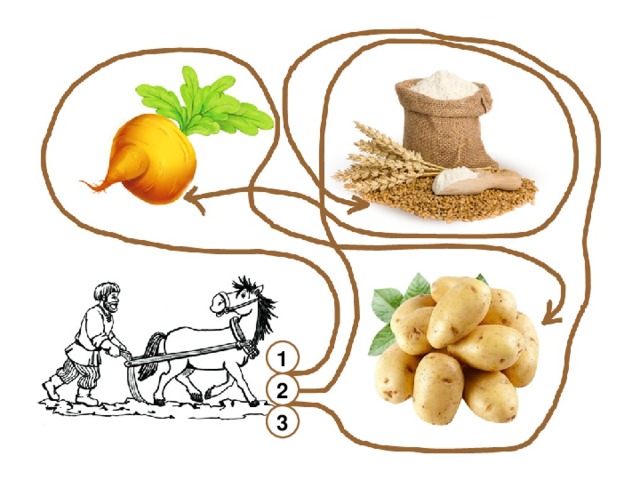 Какой продукт не сажали в Древней Руси? 1 2 3 