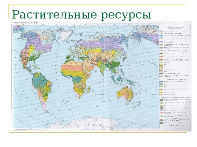 Растительные ресурсы мира. 