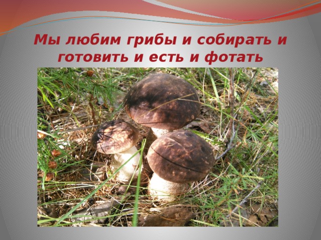 Мы любим грибы и собирать и готовить и есть и фотать 