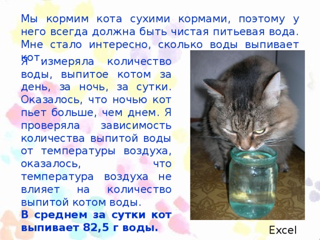 Мы кормим кота сухими кормами, поэтому у него всегда должна быть чистая питьевая вода. Мне стало интересно, сколько воды выпивает кот. Я измеряла количество воды, выпитое котом за день, за ночь, за сутки. Оказалось, что ночью кот пьет больше, чем днем. Я проверяла зависимость количества выпитой воды от температуры воздуха, оказалось, что температура воздуха не влияет на количество выпитой котом воды. В среднем за сутки кот выпивает 82,5 г воды. Excel