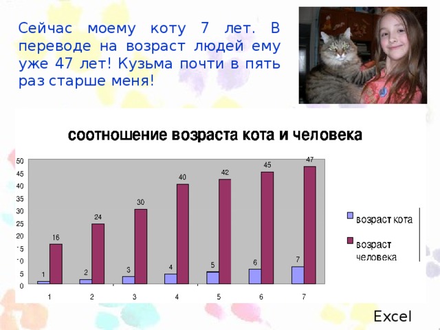 Сейчас моему коту 7 лет. В переводе на возраст людей ему уже 47 лет! Кузьма почти в пять раз старше меня! Excel