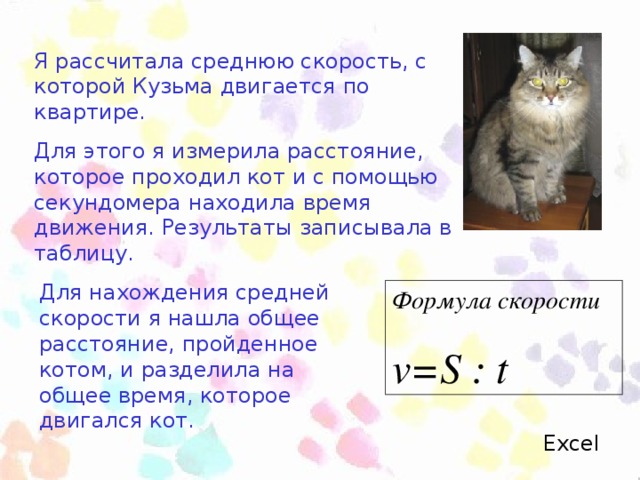 Я рассчитала среднюю скорость, с которой Кузьма двигается по квартире. Для этого я измерила расстояние, которое проходил кот и с помощью секундомера находила время движения. Результаты записывала в таблицу. Для нахождения средней скорости я нашла общее расстояние, пройденное котом, и разделила на общее время, которое двигался кот. Формула скорости v=S : t Excel