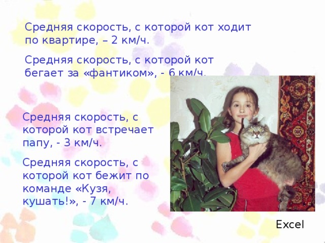 Средняя скорость, с которой кот ходит по квартире, – 2 км/ч. Средняя скорость, с которой кот бегает за «фантиком», - 6 км/ч. Средняя скорость, с которой кот встречает папу, - 3 км/ч. Средняя скорость, с которой кот бежит по команде «Кузя, кушать!», - 7 км/ч. Excel