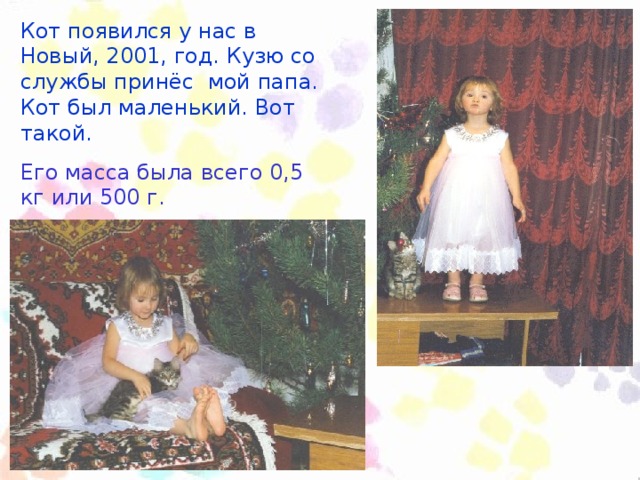 Кот появился у нас в Новый, 2001, год. Кузю со службы принёс мой папа. Кот был маленький. Вот такой.  Его масса была всего 0,5 кг или 500 г.
