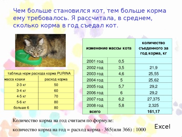 Чем больше становился кот, тем больше корма ему требовалось. Я рассчитала, в среднем, сколько корма в год съедал кот. изменение массы кота 2001 год 2002 год 0,5 количество съеденного за год корма, кг 3,5   2003 год 2004 год 4,6 21,9 5 2005 год 25,55 25,62 2006 год 5,7 6 2007 год 29,2 6,2 29,2 2008 год 5,8 27,375 всего 2,325   161,17 таблица норм расхода корма PURINA масса кошки 2-3 кг расход корма 3-4 кг 50 4-5 кг 60 5-6 кг 70 больше 6 80 80 Количество корма на год считаем по формуле: количество корма на год = расход корма · 365(или 366) : 1000 Excel