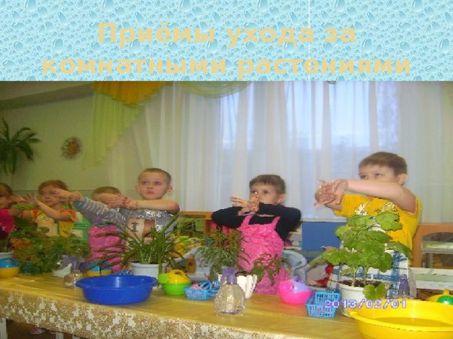 Приёмы ухода за комнатными растениями 