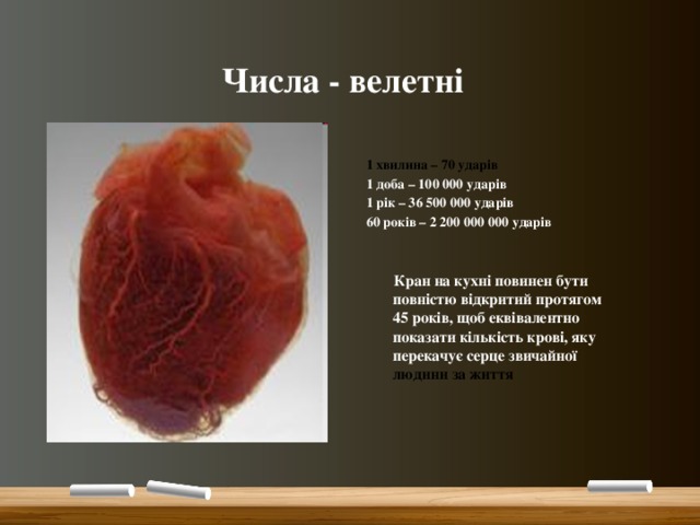  Числа - велетні 1 хвилина – 70 ударів 1 доба – 100 000 ударів 1 рік – 36 500 000 ударів 60 років – 2 200 000 000 ударів    Кран на кухні повинен бути повністю відкритий протягом 45 років, щоб еквівалентно показати кількість крові, яку перекачує серце звичайної людини за життя 