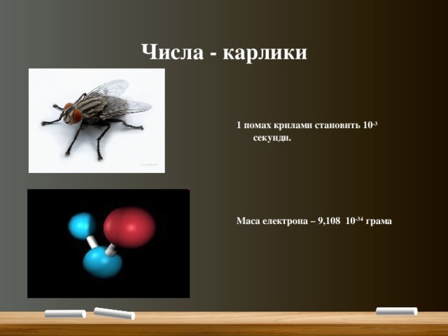 Числа - карлики 1 помах крилами становить 10 -3 секунди.      Маса електрона – 9,108 10 -34 грама 