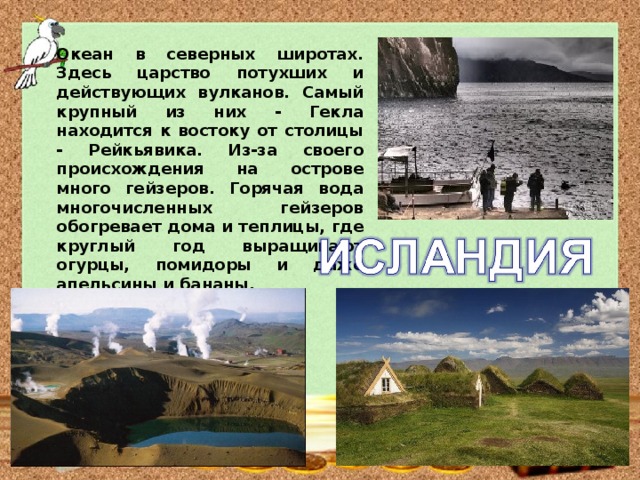 Океан в северных широтах. Здесь царство потухших и действующих вулканов. Самый крупный из них - Гекла находится к востоку от столицы - Рейкьявика. Из-за своего происхождения на острове много гейзеров. Горячая вода многочисленных гейзеров обогревает дома и теплицы, где круглый год выращивают огурцы, помидоры и даже апельсины и бананы.  