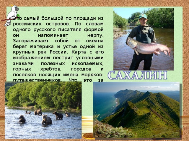 Это самый большой по площади из российских островов. По словам одного русского писателя формой он напоминает нерпу. Загораживает собой от океана берег материка и устье одной из крупных рек России. Карта с его изображением пестрит условными знаками полезных ископаемых, горных хребтов, городов и поселков носящих имена моряков-путешественников. Что это за остров?  