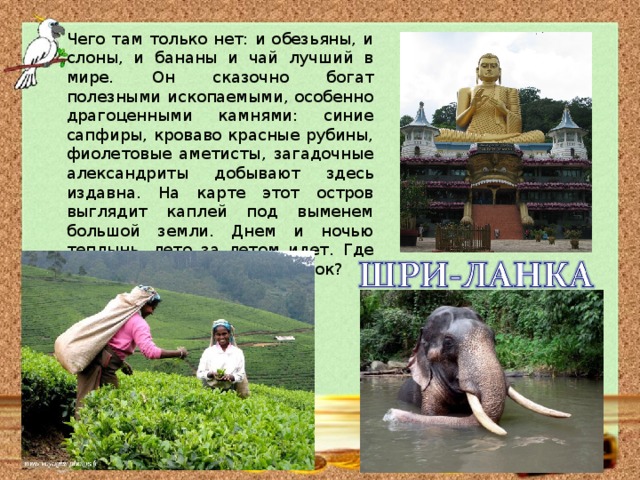 Чего там только нет: и обезьяны, и слоны, и бананы и чай лучший в мире. Он сказочно богат полезными ископаемыми, особенно драгоценными камнями: синие сапфиры, кроваво красные рубины, фиолетовые аметисты, загадочные александриты добывают здесь издавна. На карте этот остров выглядит каплей под выменем большой земли. Днем и ночью теплынь, лето за летом идет. Где находится этот райский уголок? 