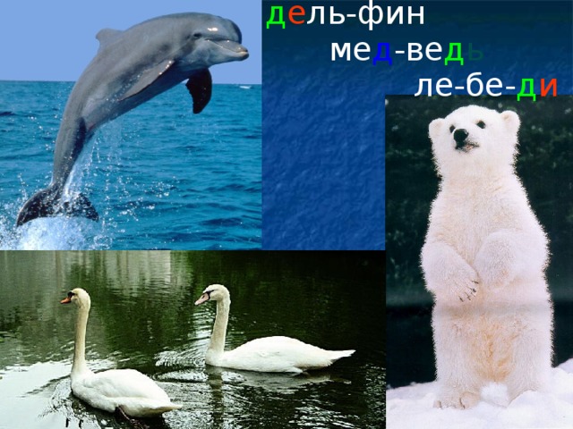 д е ль-фин ме д -ве д ь ле-бе- д и