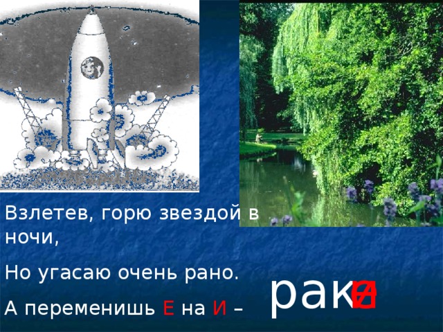 Взлетев, горю звездой в ночи, Но угасаю очень рано. А переменишь Е на И – И я кустом зелёным стану. рак та и е
