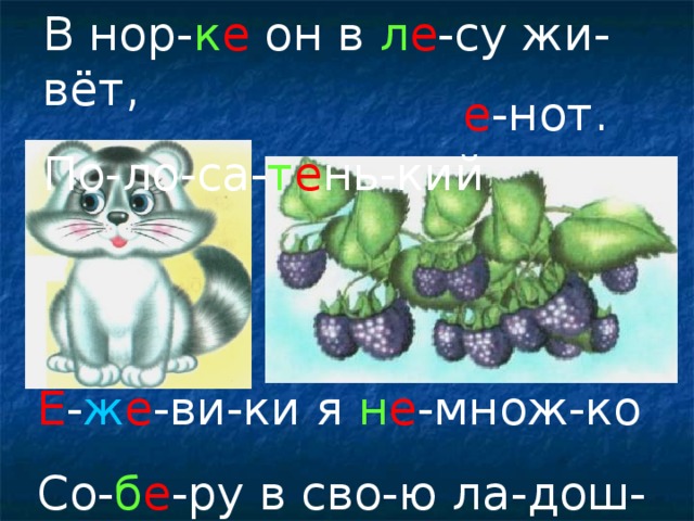 В нор- к е он в л е -су жи-вёт, По-ло-са- т е нь-кий е -нот. Е - ж е -ви-ки я н е -множ-ко Со- б е -ру в сво-ю ла-дош-ку.
