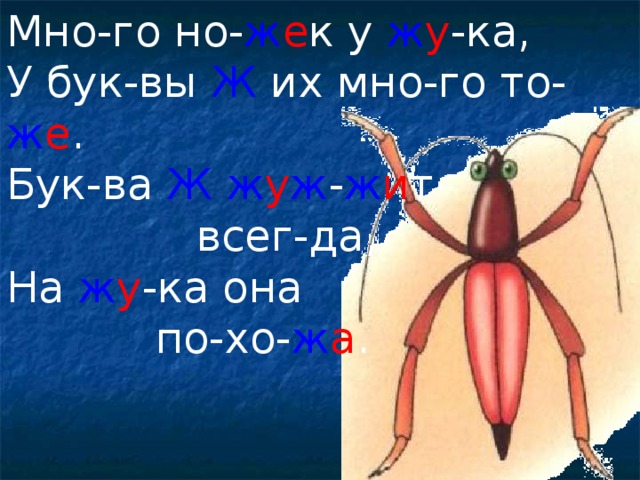 Мно-го но- ж е к у ж у -ка, У бук-вы Ж их мно-го то- ж е . Бук-ва Ж  ж у ж - ж и т  всег-да, На ж у -ка она  по-хо- ж а .