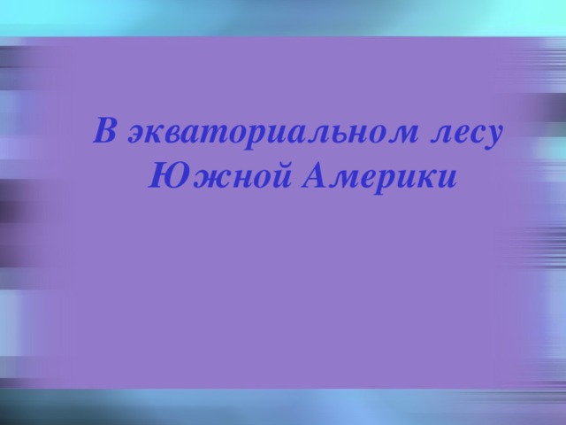 В экваториальном лесу Южной Америки 
