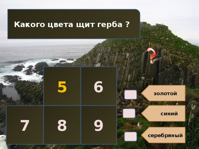 золотой  синий серебряный Какого цвета щит герба ? В4. 5 6 7 8 9 