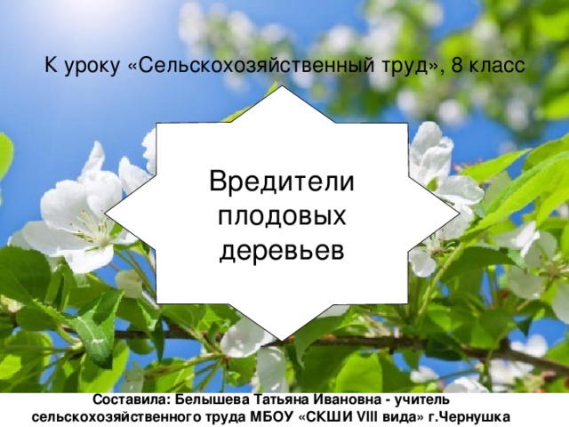  К уроку «Сельскохозяйственный труд», 8 класс Вредители плодовых деревьев Составила: Белышева Татьяна Ивановна - учитель сельскохозяйственного труда МБОУ «СКШИ VIII вида» г.Чернушка 