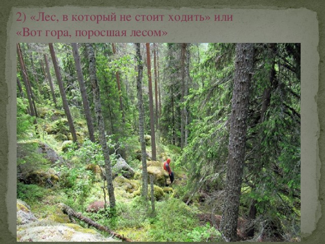 2) «Лес, в который не стоит ходить» или «Вот гора, поросшая лесом» 