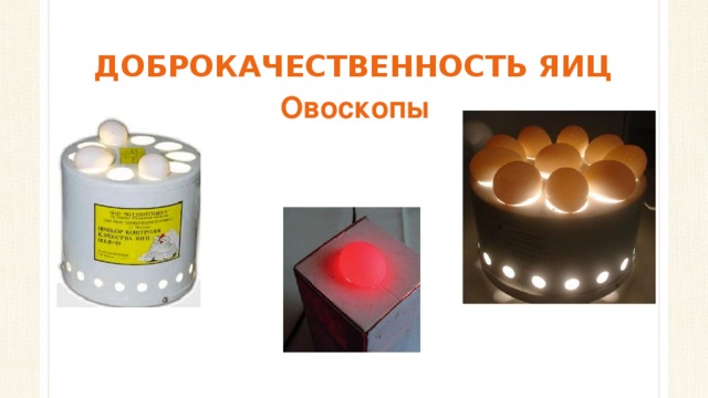 ДОБРОКАЧЕСТВЕННОСТЬ ЯИЦ Овоскопы 