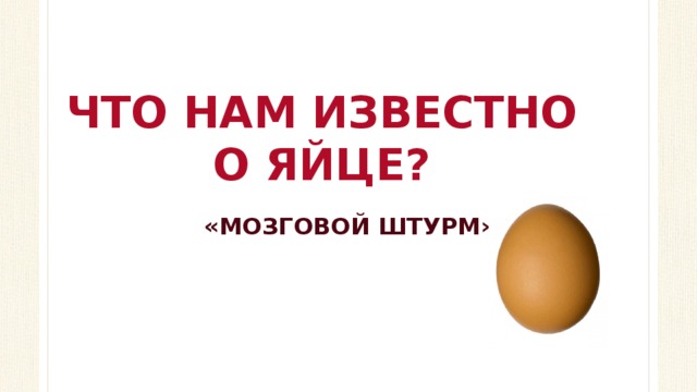 ЧТО НАМ ИЗВЕСТНО О ЯЙЦЕ? «МОЗГОВОЙ ШТУРМ» 