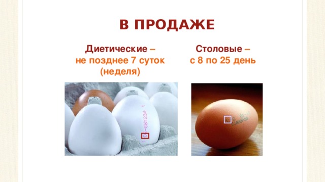 В ПРОДАЖЕ Диетические – Столовые – не позднее 7 суток с 8 по 25 день (неделя) 