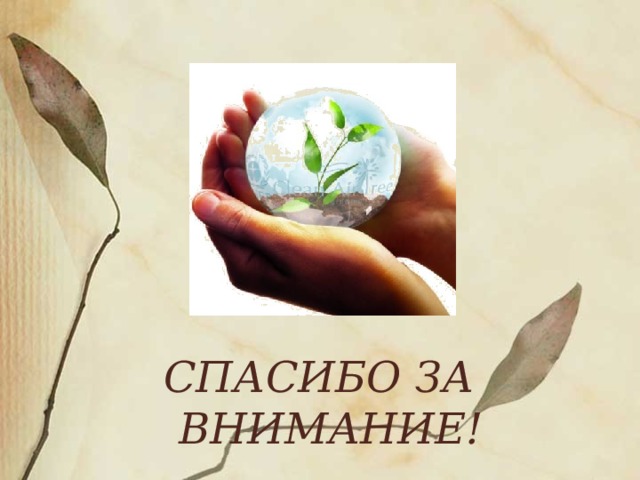 Спасибо за внимание экология
