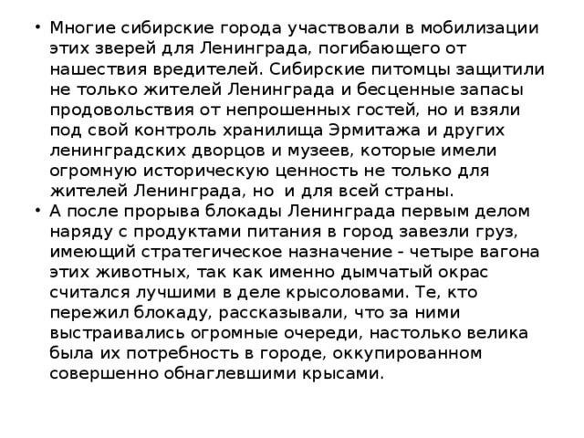 Многие сибирские города участвовали в мобилизации этих зверей для Ленинграда, погибающего от нашествия вредителей. Сибирские питомцы защитили не только жителей Ленинграда и бесценные запасы продовольствия от непрошенных гостей, но и взяли под свой контроль хранилища Эрмитажа и других ленинградских дворцов и музеев, которые имели огромную историческую ценность не только для жителей Ленинграда, но  и для всей страны. А после прорыва блокады Ленинграда первым делом наряду с продуктами питания в город завезли груз, имеющий стратегическое назначение - четыре вагона этих животных, так как именно дымчатый окрас считался лучшими в деле крысоловами. Те, кто пережил блокаду, рассказывали, что за ними выстраивались огромные очереди, настолько велика была их потребность в городе, оккупированном совершенно обнаглевшими крысами. 