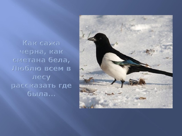 Как дела как сажа бела картинки