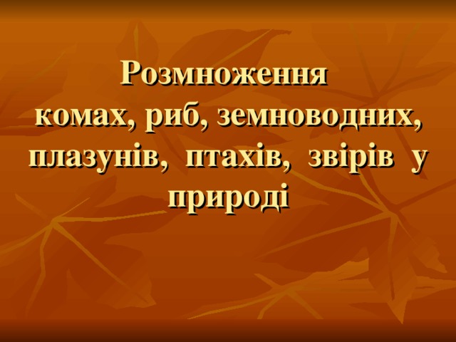 Розмноження  комах, риб, земноводних, плазунів, птахів, звірів у природі 